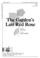 The Garden's Last Red Rose 