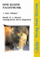 Eine kleine Nachtmusik (1. Satz 'Allegro') 