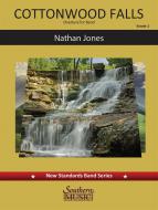 Cottonwood Falls 