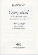 From Gyergyó 