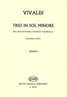 Trio in sol minore 