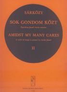Sok gondomközt 2 