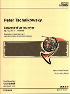 Souvenir d'un lieu cher 