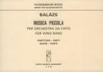 Musica piccola 