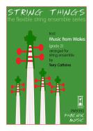 Music from Wales 