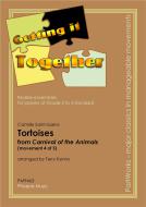 Tortoises 