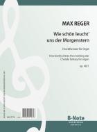 Choral fantasy 'How lovely shines the morning star' for organ op.40/1 