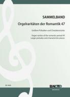 Organ rarities of the romantic period 47: Larger preludes and characteristic pieces 