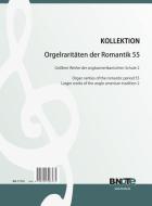 Organ rarities of the romantic period 55: Larger works of the anglo american tradition 2 