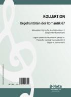 Organ rarities of the romantic period 67: Pieces for worship (manuals only) 2 