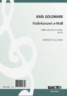 Violin concerto in a minor op.28 (orchestra) 
