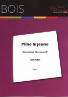 Pline Le Jeune 