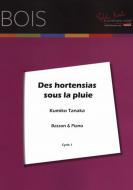 Des Hortensias Sous La Pluie 