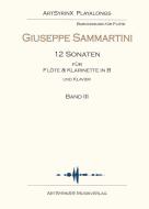 16 Sonaten 3 