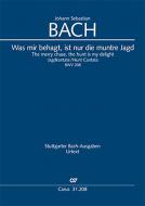 The merry chase, the hunt is my delight BWV 208 Standard