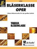 BläserKlasse Oper - Flöte 