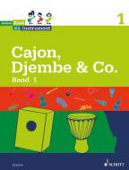 Jedem Kind ein Instrument 1 - JeKi: Cajon, Djembe & Co. 