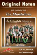 Bei Mondschein 