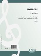 Fantasy on 'Harre, meine Seele' for organ op.76 