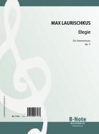 Elegy for hamonium op.2 