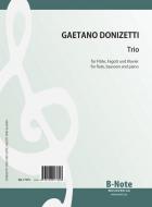 Trio for flute, bassoon and piano 