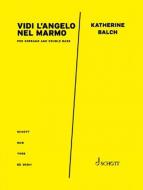 Vidi l'Angelo nel marmo Standard