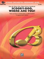 Scooby Doo, Where Are You? 