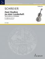 2 Studien zu einer Landschaft Standard