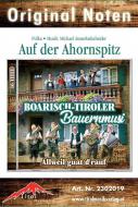 Auf der Ahornspitz 