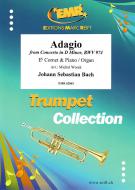 Adagio from Concerto in D Minor BWV 974 Standard