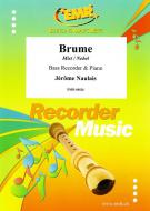 Brume Standard