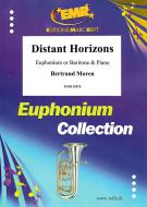 Distant Horizons Standard