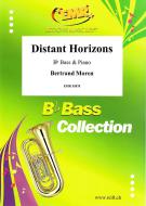 Distant Horizons Standard