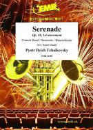 Serenade op. 48 Standard