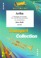 Ariba Download