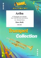 Ariba Download