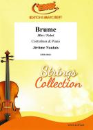 Brume Download
