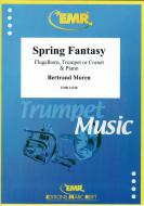 Spring Fantasy Standard