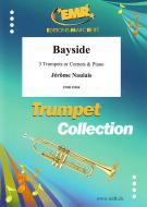 Bayside Download