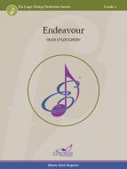 Endeavour Standard