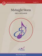 Midnight Storm Standard