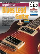 Progressive Beginner Blues Lead Guitar 