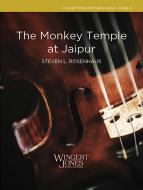 The Monkey Temple at Jaipur Standard