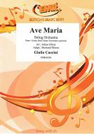 Ave Maria Standard