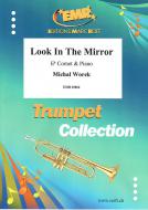 Look In The Mirror Standard