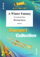 A Winter Fantasy Standard