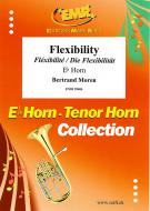 Flexibility Standard