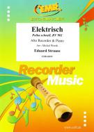 Elektrisch Standard