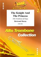 The Knight And The Princess Standard