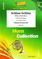 Schlau-Schlau Standard